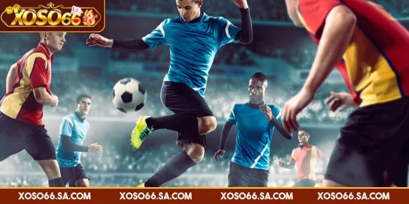 Xem bảng thông tin cá cược theo từng bộ môn